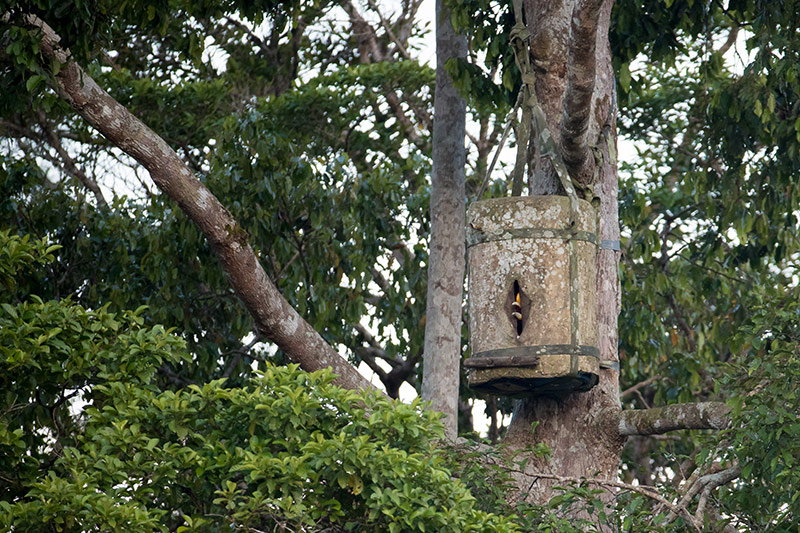 Web purchasing a membership for someone else as a gift? Nature Lovers Gift Guide 2021