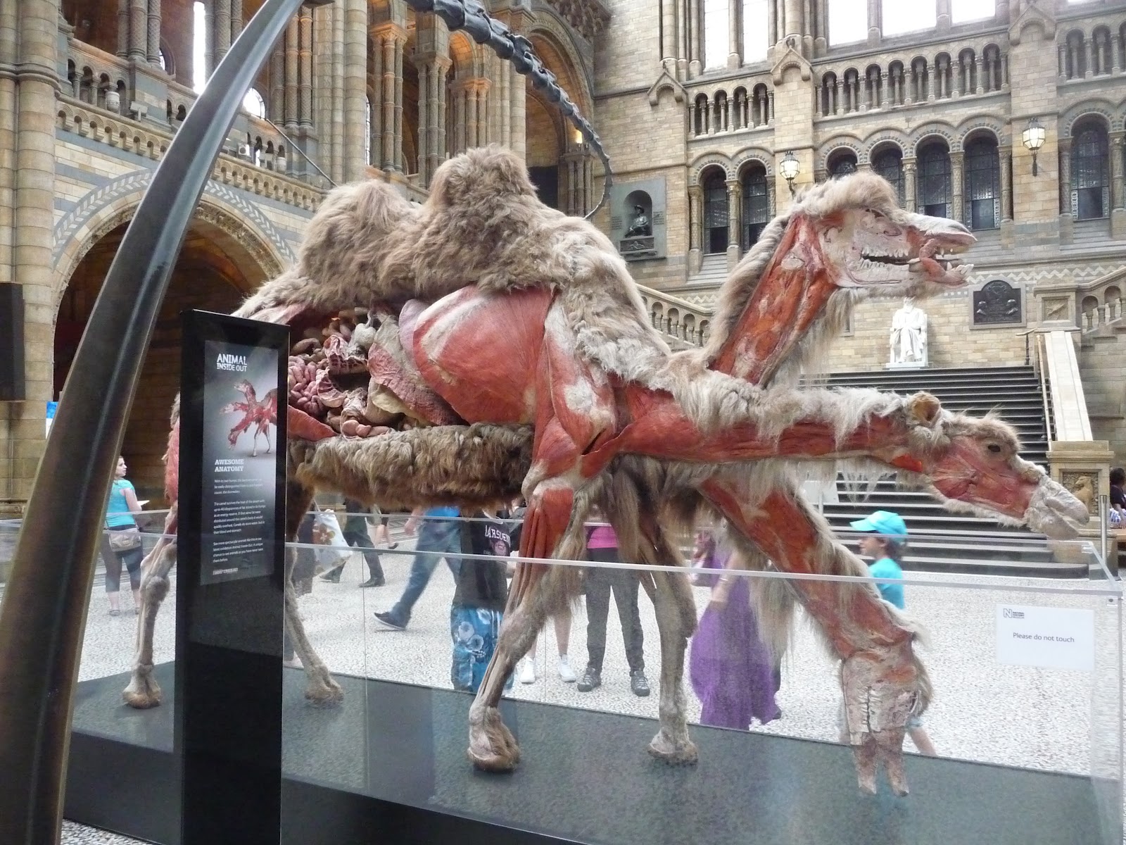 The natural history museum (hnm) in london is one of the most important science museums in the world. London Calling Science Museum & Natural History Museum