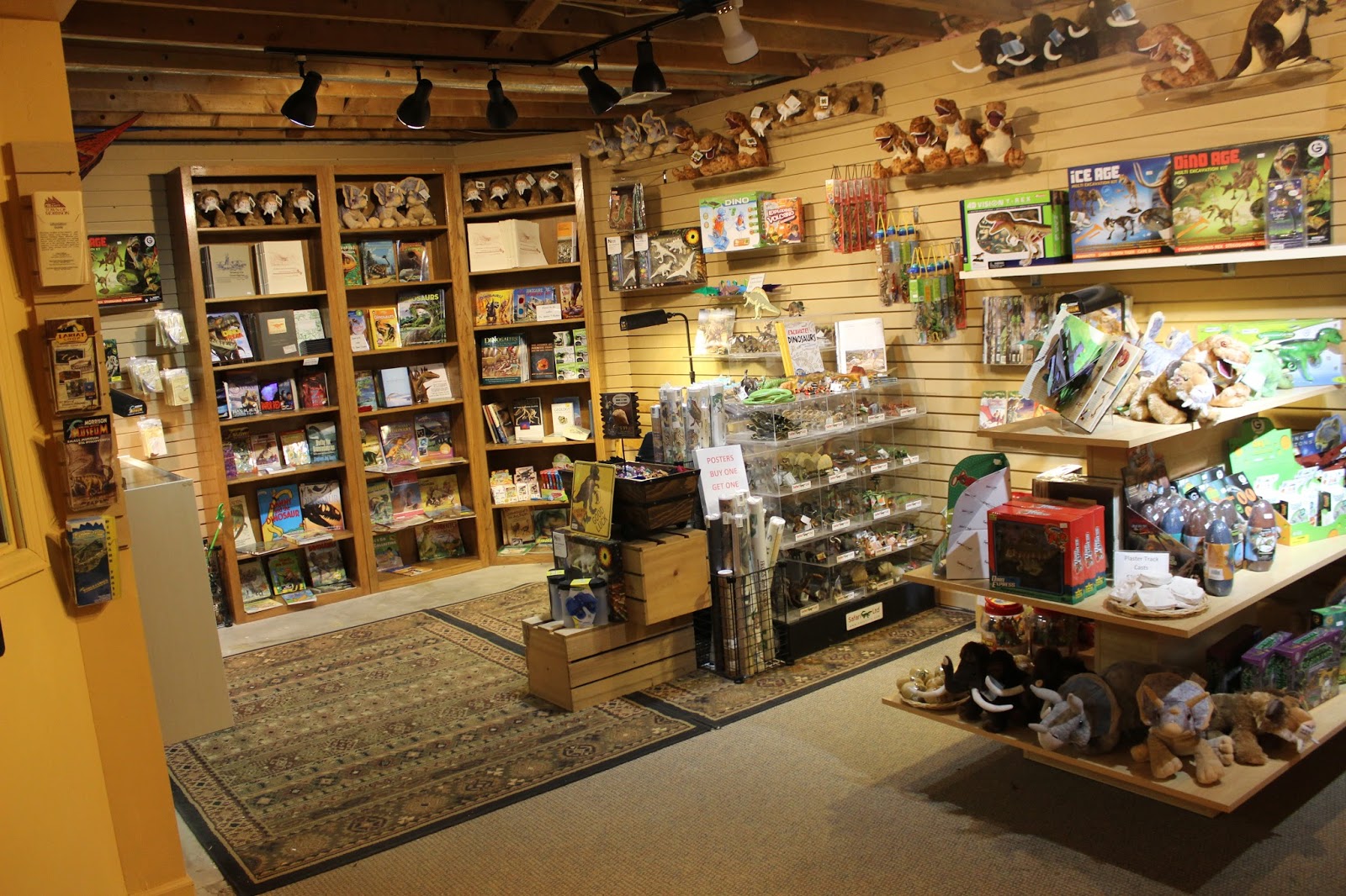 Find ideas for gifts and souvenirs from the natural history museum online shop. The Natural World Summer at the Morrison Natural History Museum