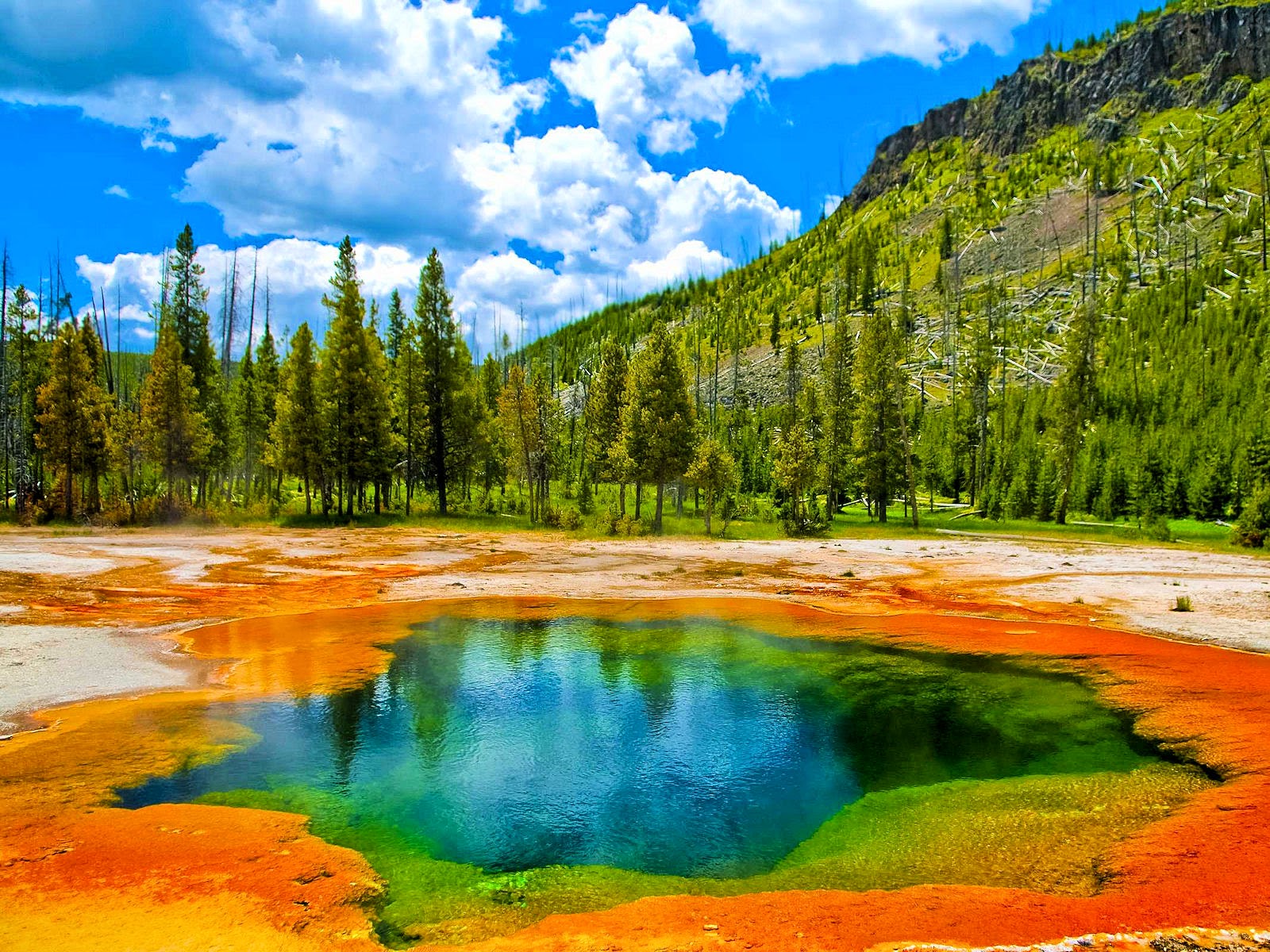 Web the team pulled the top 10 trending searches on google maps in the national park category resulting in a list of parks that captivated our attention in 2023. Para perderte... Yellowstone National Park Wyoming USA aznalfarache