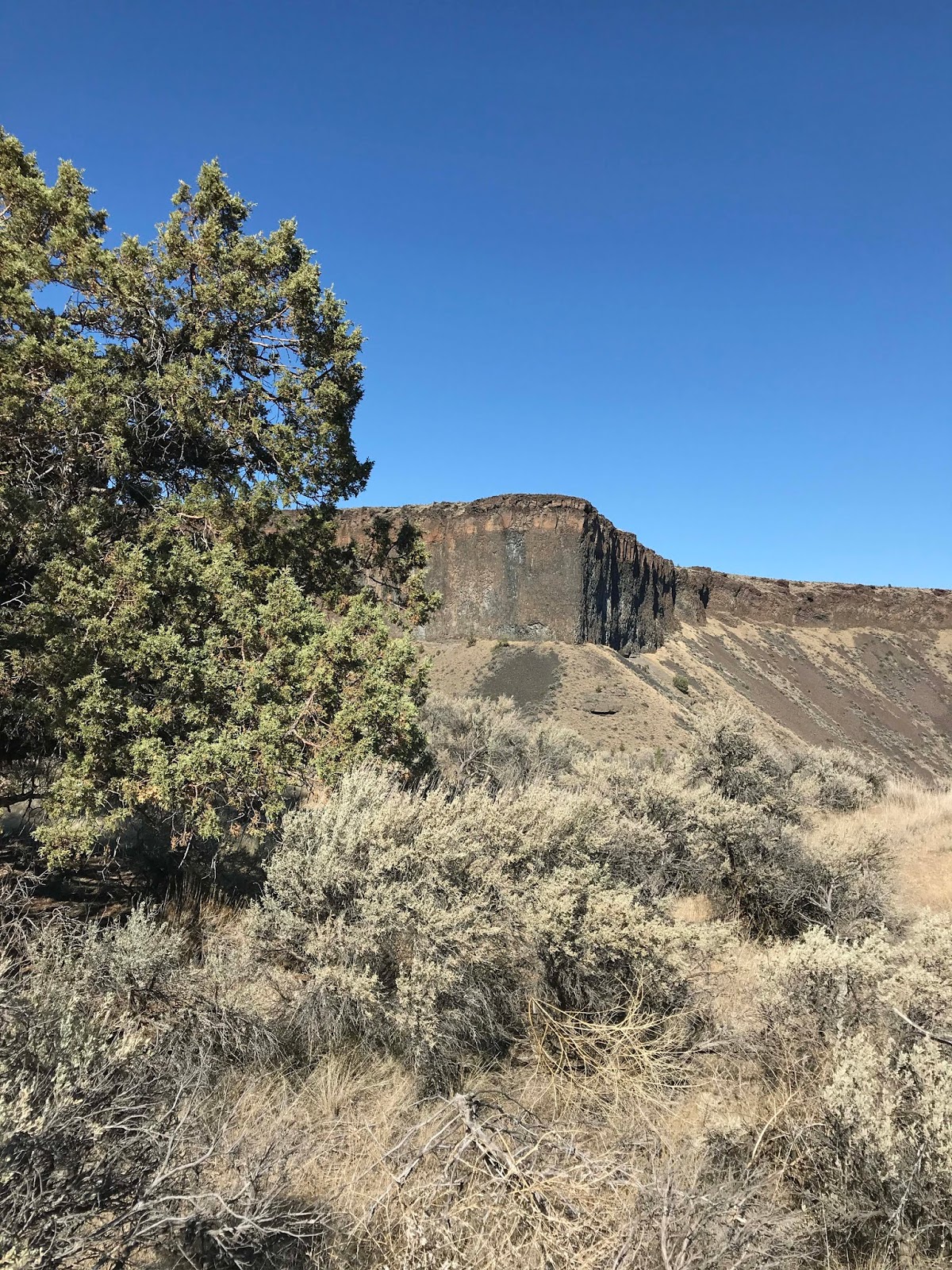 Web $$ $$ average rate. Marlene Brady Crooked River Ranch RV Park