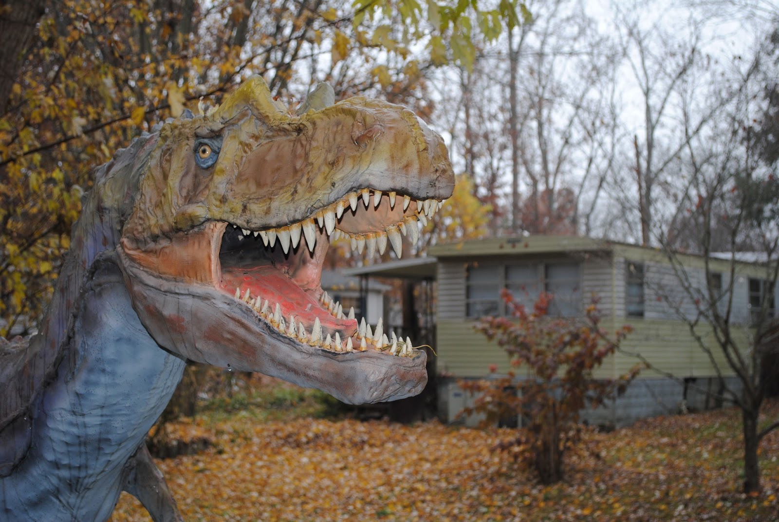 Web backyard terrors started in 2007 with our first dinosaur sculpture in our backyard…where else? The Carpetbagger Back Yard Terror's Dinosaur Park