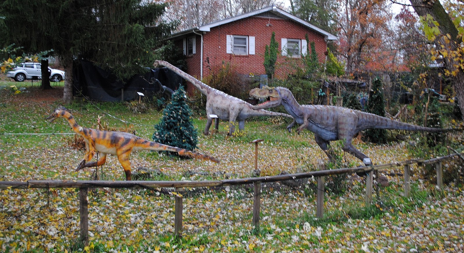 See 104 reviews, articles, and 206 photos of backyard terrors dinosaur park, ranked no.1 on tripadvisor among 4 attractions in bluff city. The Carpetbagger Back Yard Terror's Dinosaur Park