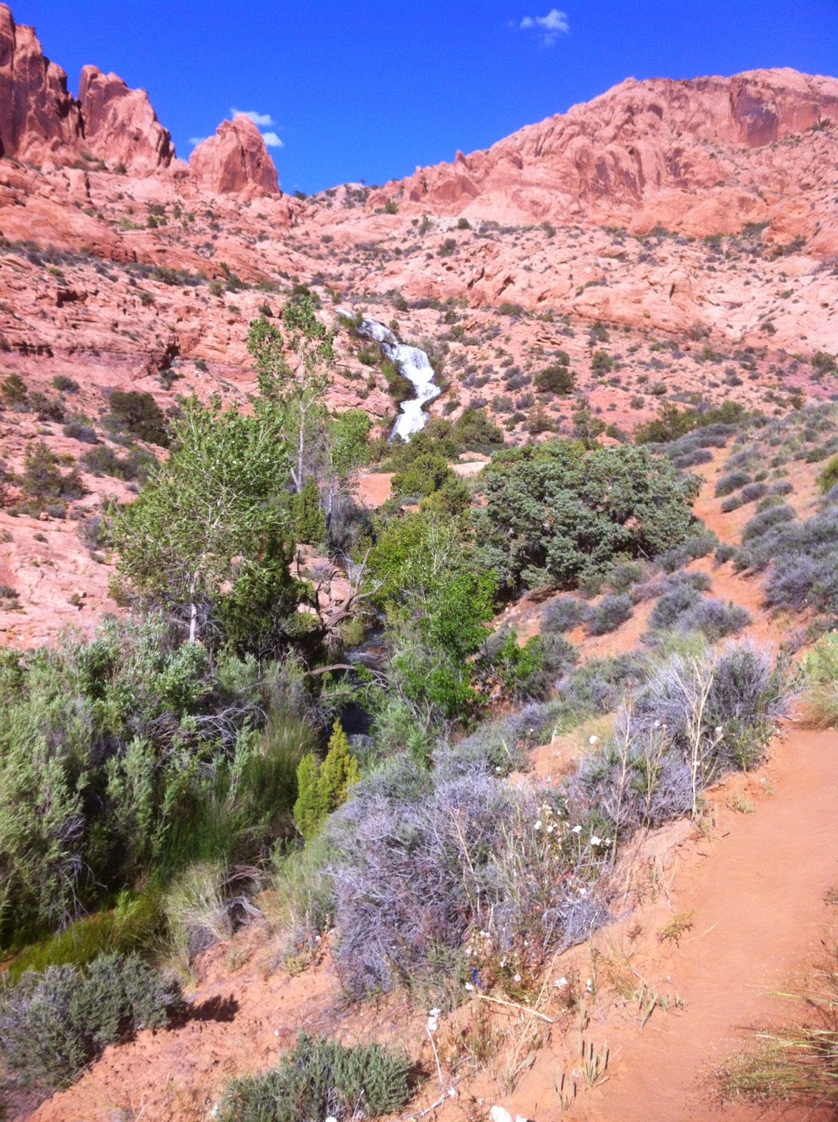 Our Fantastic Falcon Voyage Ken's Lake, Moab, UT